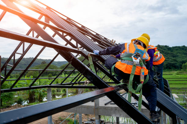 Roof Gutter Cleaning in Norton, VA